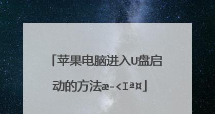 使用U盘进入PE系统的详细教程（利用U盘轻松进入PE系统，快速解决电脑问题）