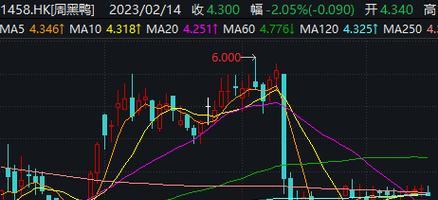 周黑鸭利润分析——经营收益与市场潜力（探究周黑鸭业务的盈利状况与发展前景）