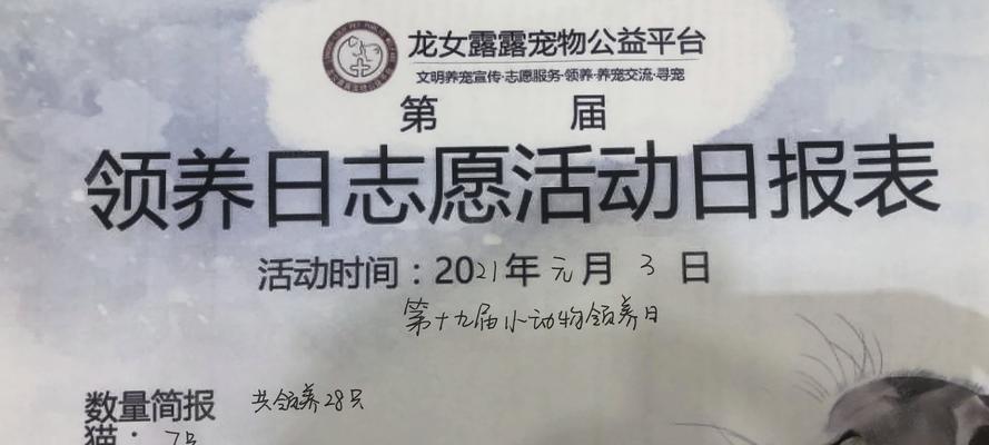 大猫电商（以大猫电商怎么样为例，探讨电商平台的优势和特点）