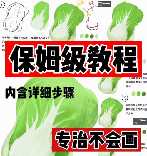 大白菜电脑分区教程（轻松掌握电脑分区技巧，让电脑运行更高效）