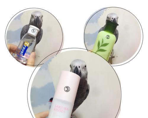 晶晶优品东西如何？（探索晶晶优品的品质与选择）