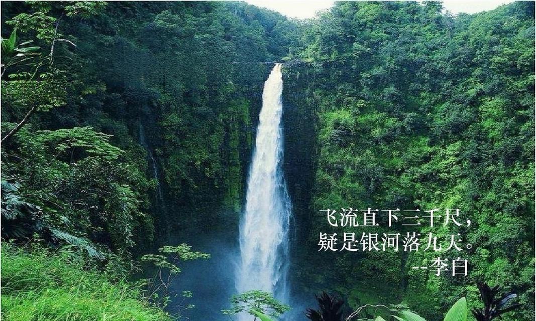 飞流九天（探寻飞流九天的世界，感受无限可能）