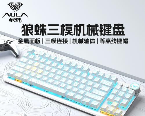 茶轴打字（提高打字速度和舒适度的最佳选择）