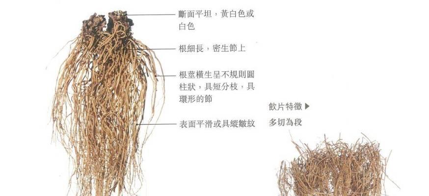 探索春雨医生会员卡的优势与便利（通过会员卡享受健康管理与专业医疗服务）
