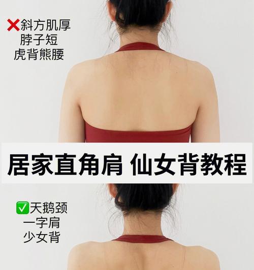 哑铃教程入门平板电脑（让平板电脑成为你的个人健身教练）