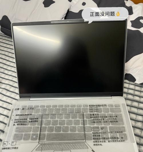 解决联想小新电脑密码错误的方法（忘记密码怎么办？教你轻松应对）