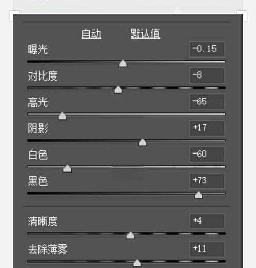 LR电脑人像调色教程（学会使用LR电脑软件，让人像照片更出众）