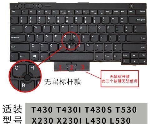 电脑键盘使用常识教程（从入门到精通，掌握键盘的关键技巧）