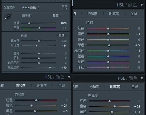 电脑LR调色人像教程（轻松掌握LR调色技巧，让人像更加出彩）
