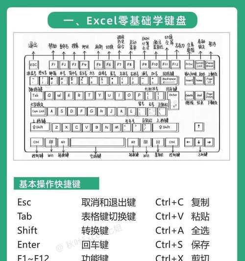 入门电脑表格教程（从零开始，迅速掌握表格的基本功能与高级应用）