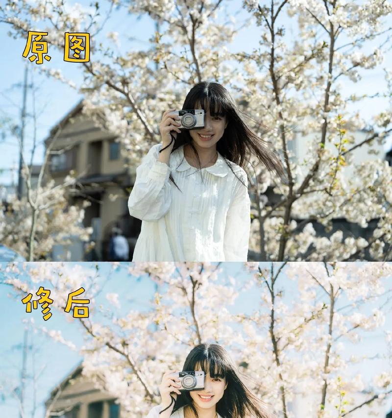电脑小白也能轻松学会以LR调色！（从零开始，轻松掌握Lightroom调色技巧，让你的照片更出彩！）